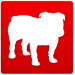 BullGuard Internet Security 13.0.256