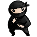 System Ninja 2.4
